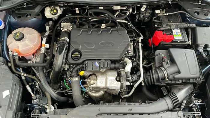 Ford Kuga FORD Kuga 1.5 EcoBlue Titanium First Edition SUV 5dr Diesel Manual Euro 6 (s/s) 